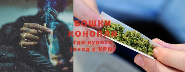 ешки Бронницы