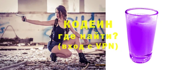 a pvp Бородино