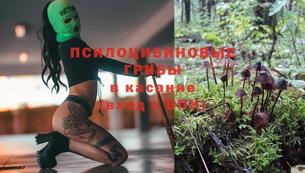 ГАЛЛЮЦИНОГЕННЫЕ ГРИБЫ Бугульма