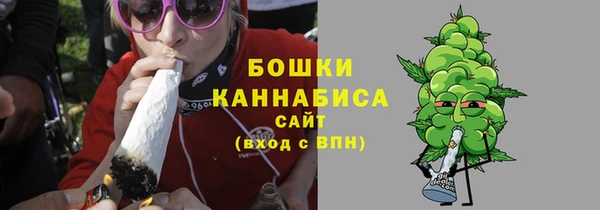 a pvp Бородино