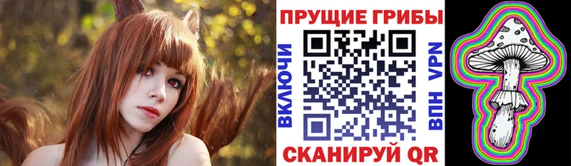 Псилоцибиновые грибы Cubensis  Купить где  Углич 